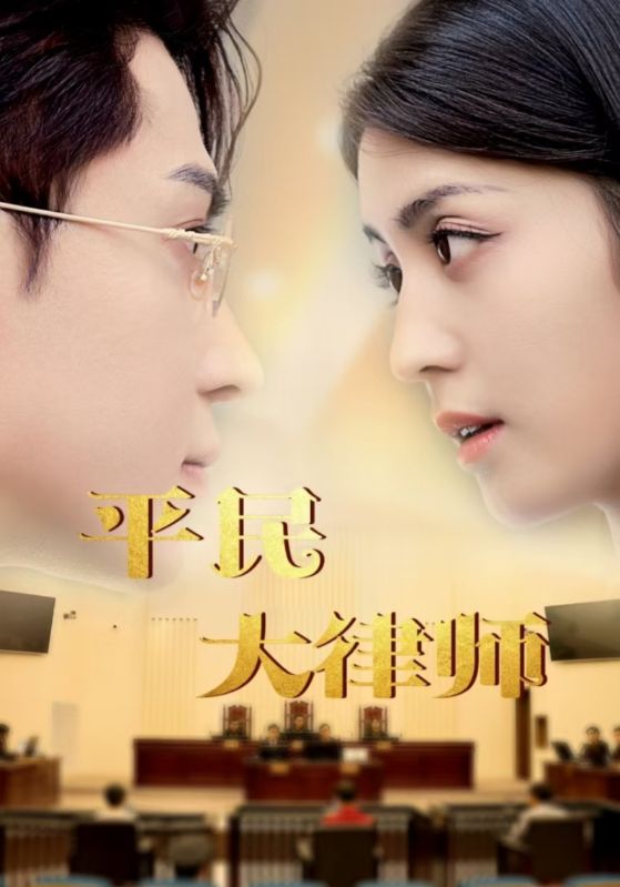 平民大律师全集