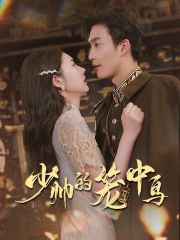 少帅的笼中鸟全集