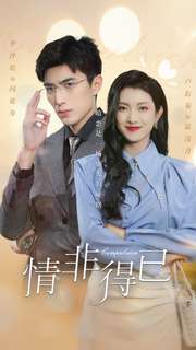 情非得已全集