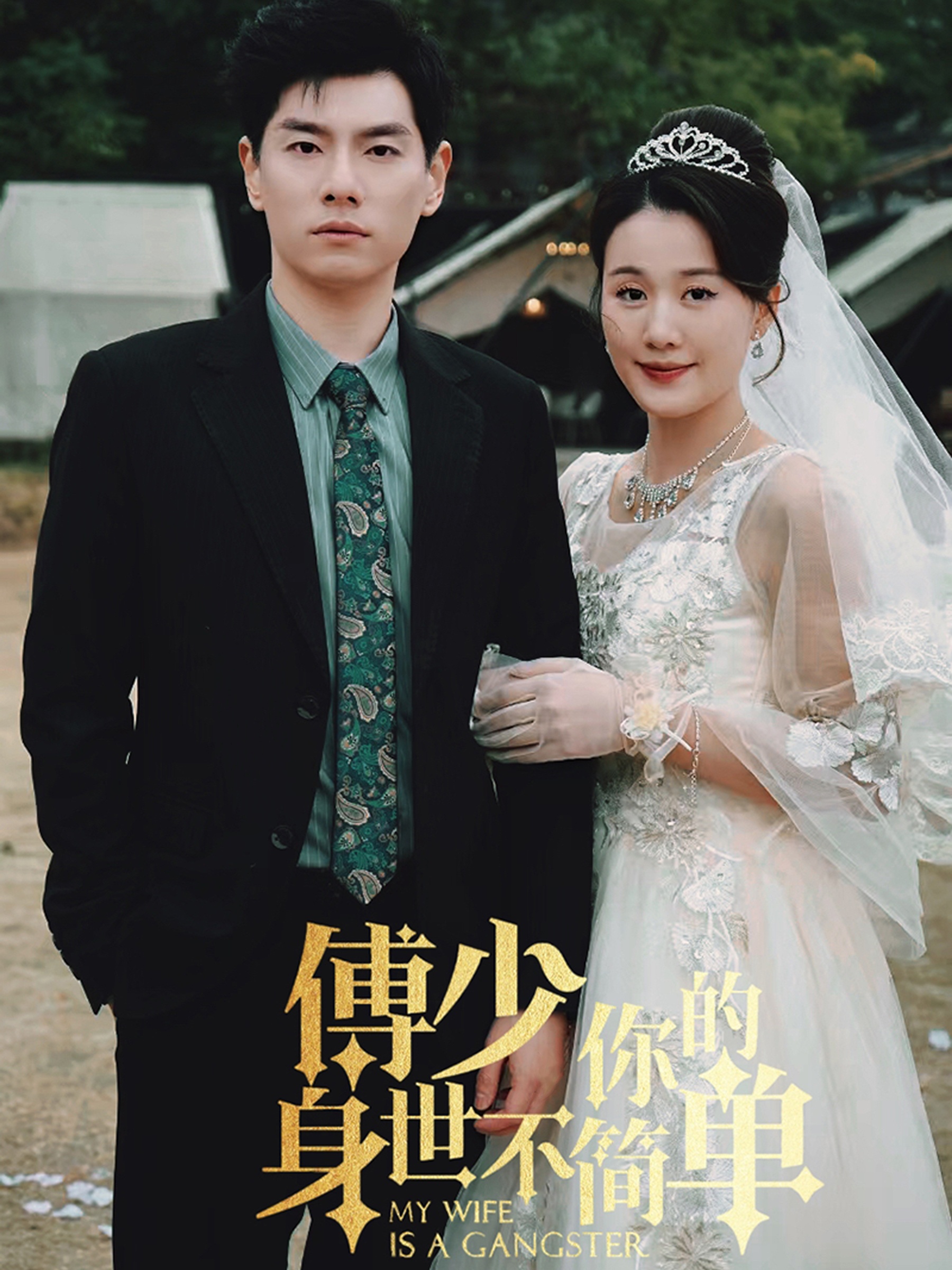 傅少你的身世不简单全集