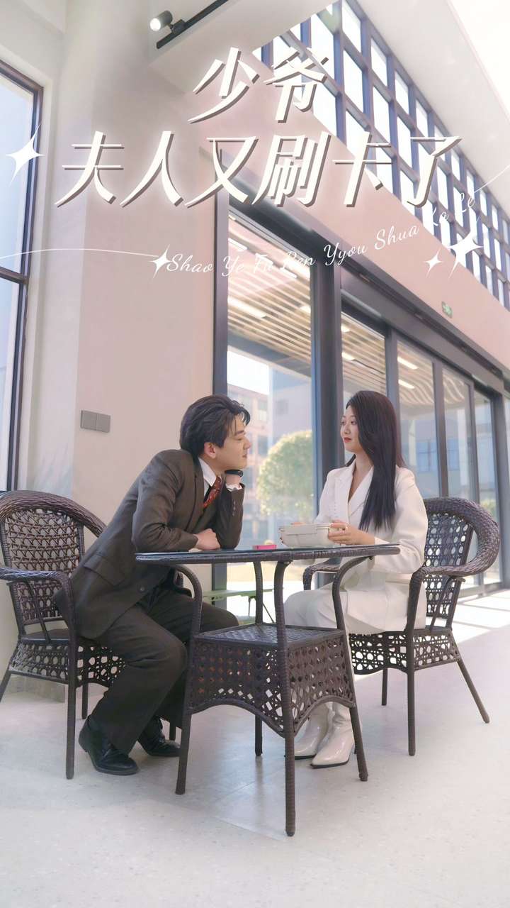 少爷夫人又刷卡了全集