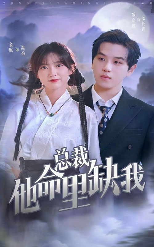 总裁他命里缺我全集