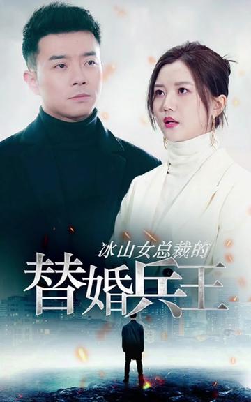 冰山总裁的替婚兵王全集