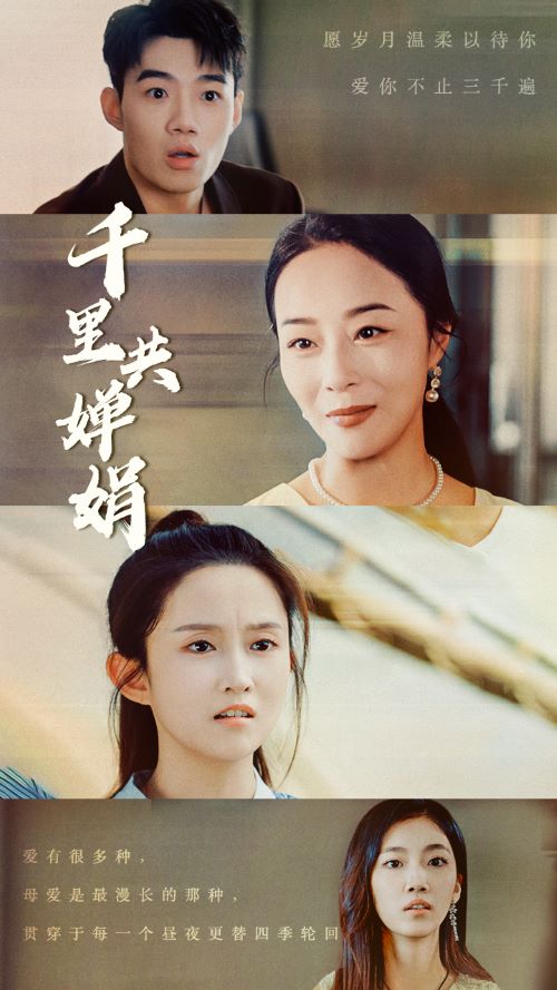 千里共婵娟全集