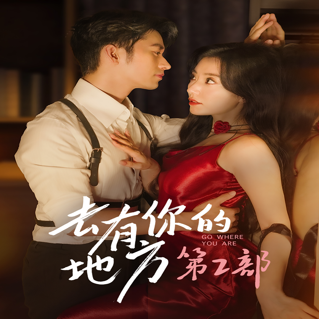 去有你的地方第2部全集