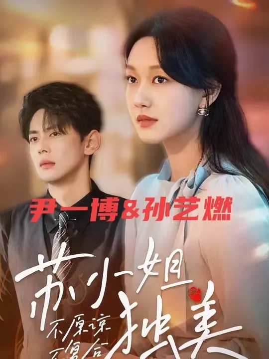 不原谅不复合苏小姐独美全集