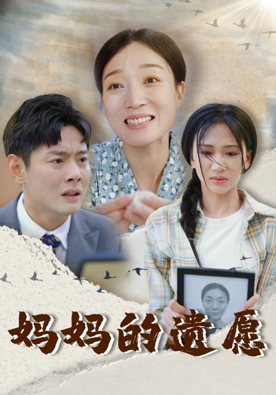 妈妈的遗愿全集