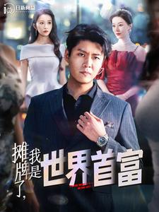 摊牌了，我是世界首富全集