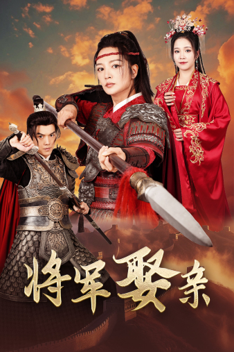 将军娶亲全集