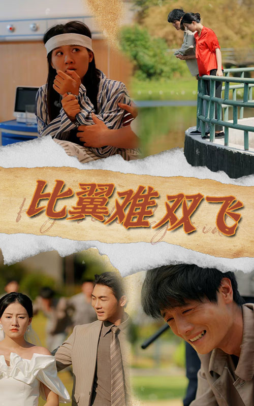 比翼难双飞全集