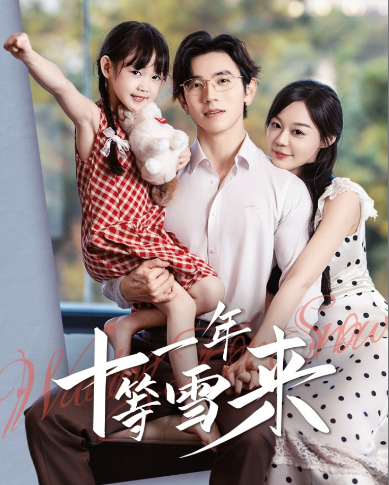 十一年等雪来全集