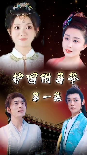 护国驸马爷&一国驸马护山河全集