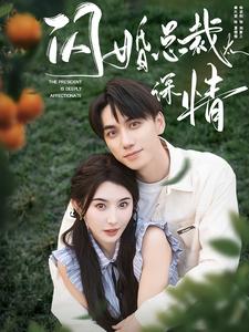 闪婚总裁太深情全集