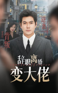 辞职离婚变大佬全集