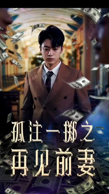 孤注一掷再见前妻全集