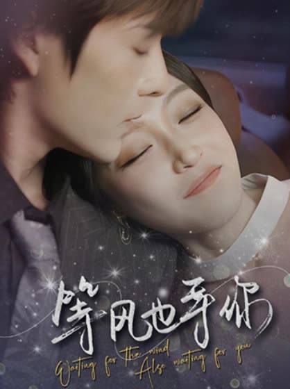 等风也等你全集