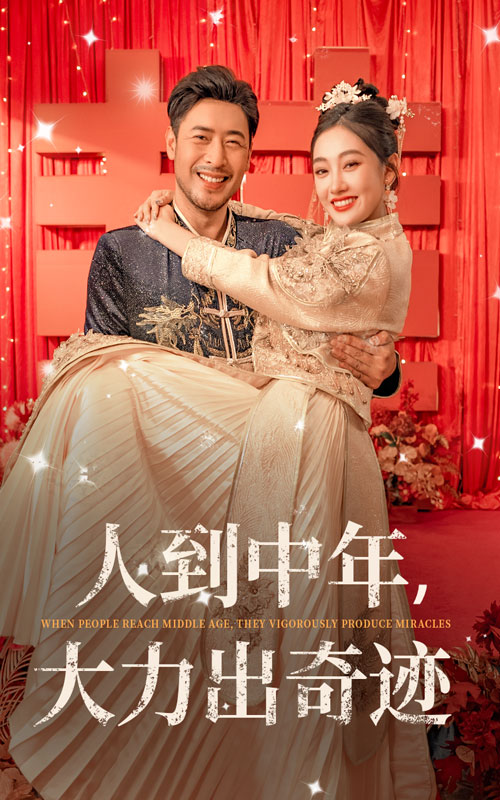 人到中年，大力出奇迹全集