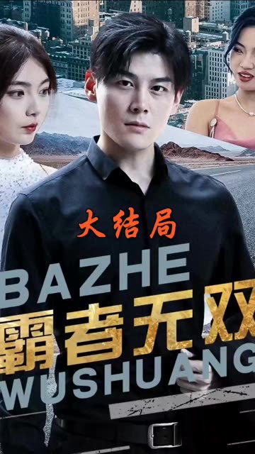 霸者无双&护国神帅全集