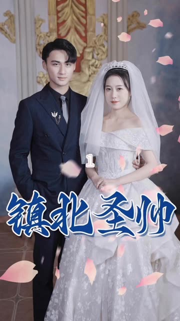 镇北圣帅&镇北神帅全集